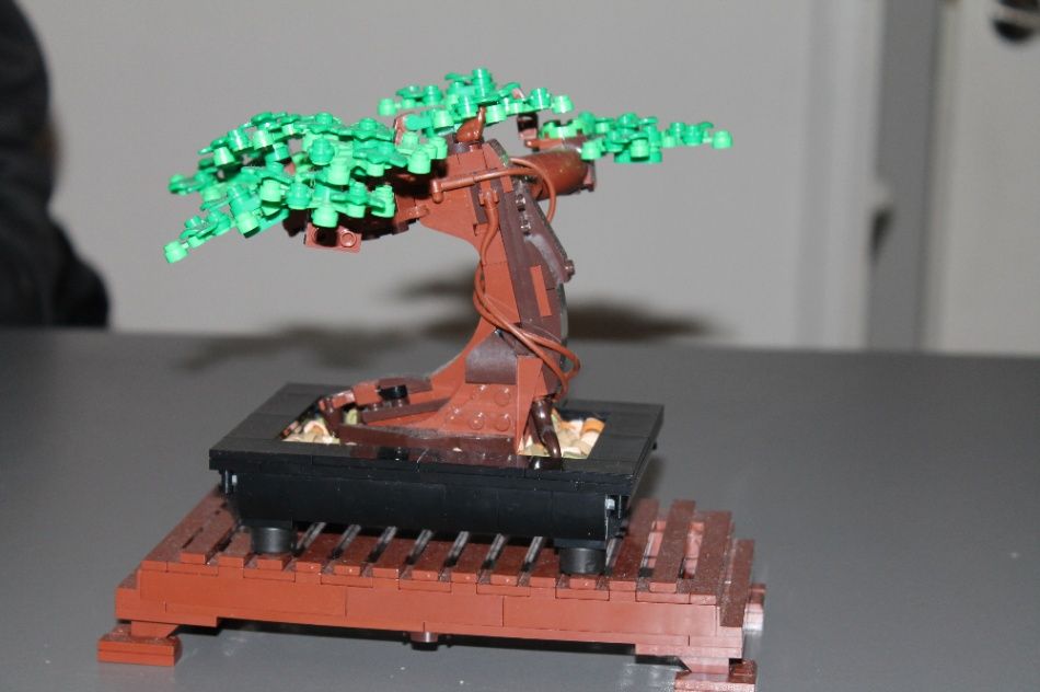 LEGO Bonsaiboom set 10315 / LEGO Icons